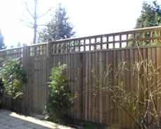 Fence with trellis