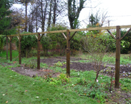 Garden pergola