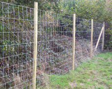 Deer fencing