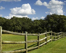 Old sussex post and rail fence