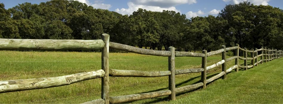 Sussex Post and rail fencing