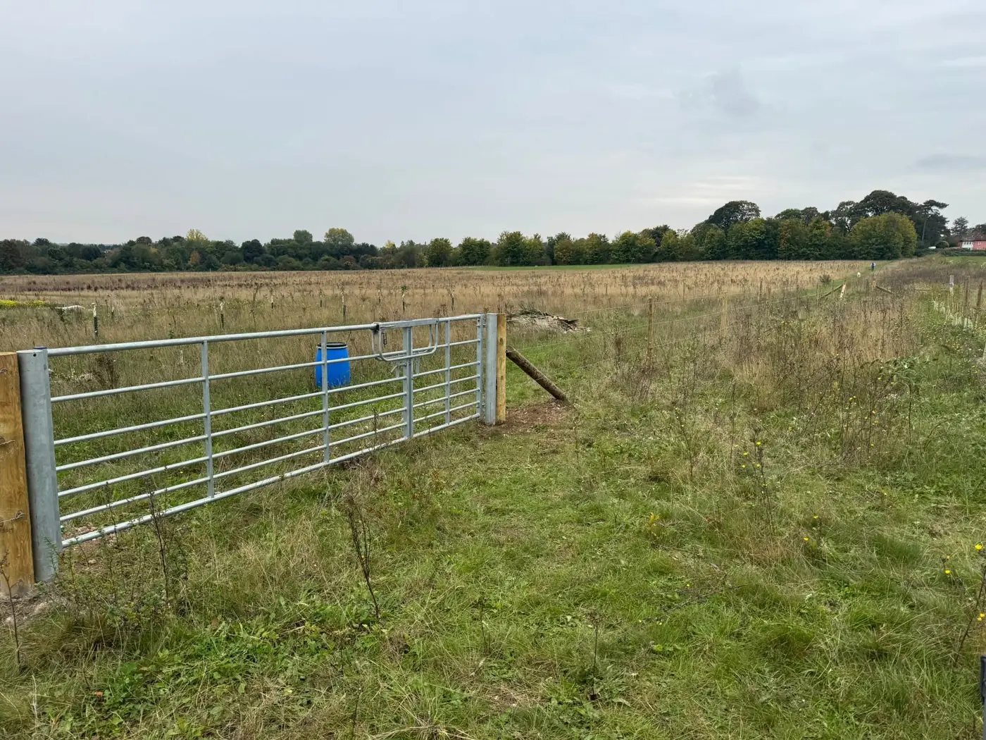 Galvanised steel field gate hung on a timber post beside new stock fencing, fitted by Tyrrells