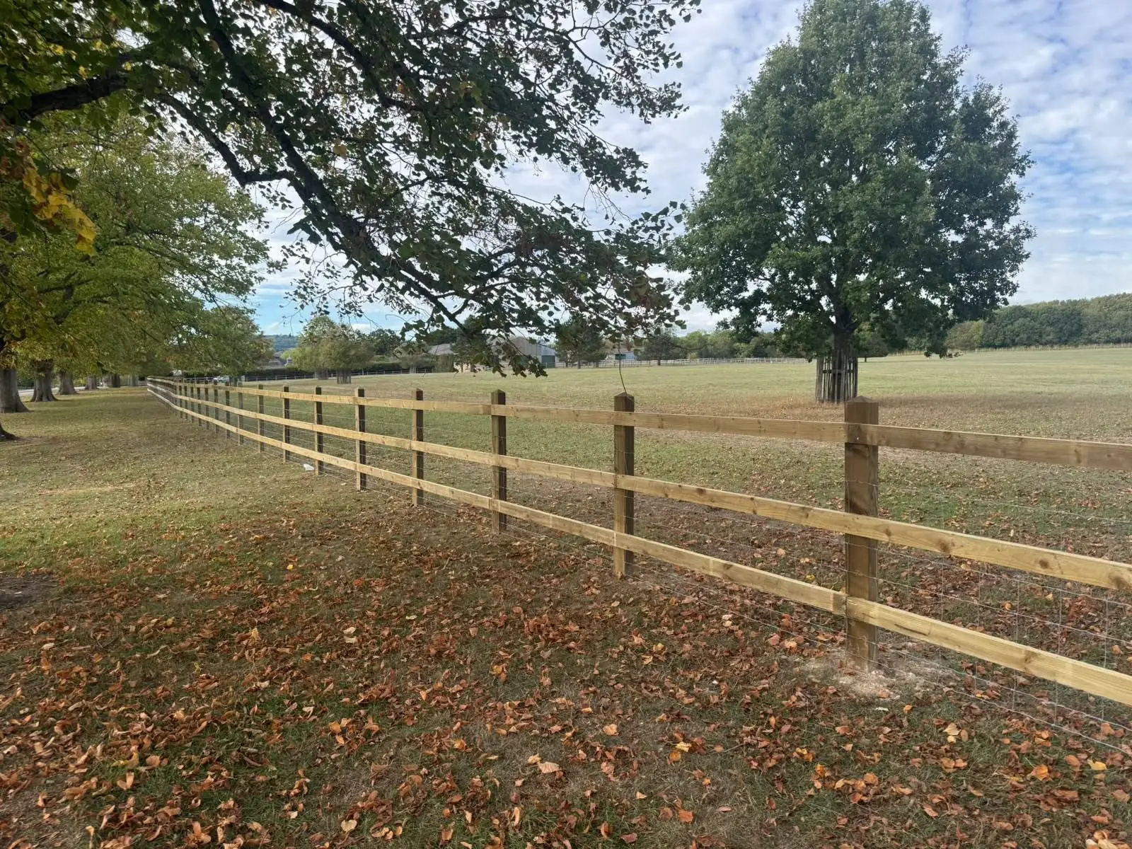 New three-rail post and rail fence with stock netting, fitted by Tyrrells along a parkland field
