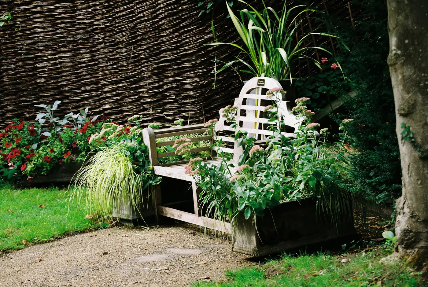 Woven willow hurdle screen behind a garden bench