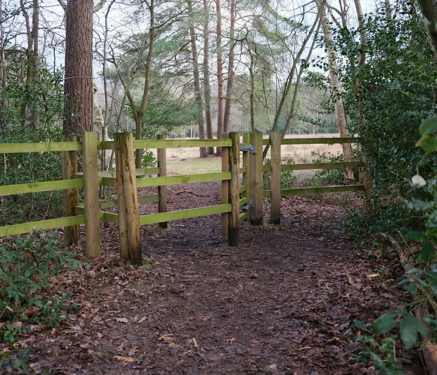 Timber kissing gate on a woodland footpath